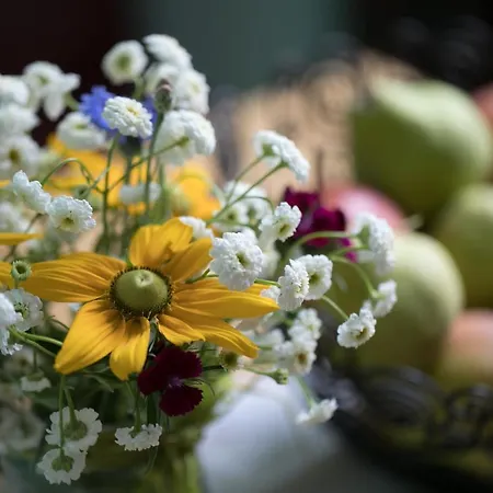 מלון Garni - Pillgrab