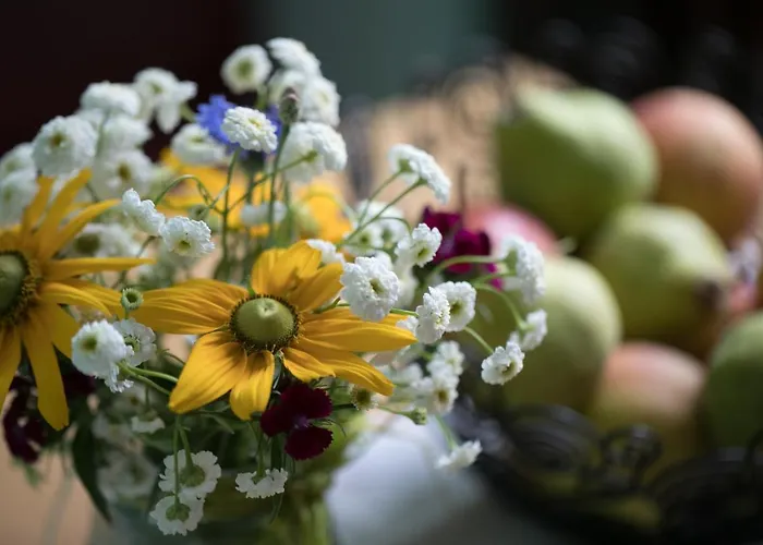 Hotel Garni - Pillgrab